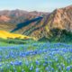 Photo of Big Sur