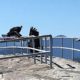 Image of two California condors atop a railing at Moro Rock in Sequoia National Park