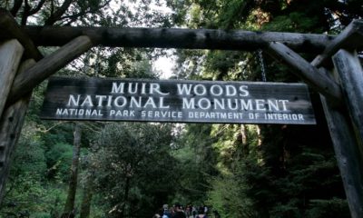 Photo of visitors walking along a pathway near the entrance to the Muir Woods National Monument in Marin County,