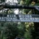 Photo of visitors walking along a pathway near the entrance to the Muir Woods National Monument in Marin County,