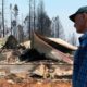 Photo of wildfire aftermath