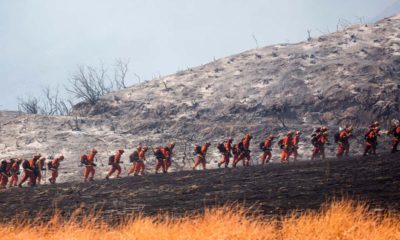 Photo of firefighters