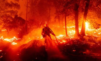 Photo of a firefighter