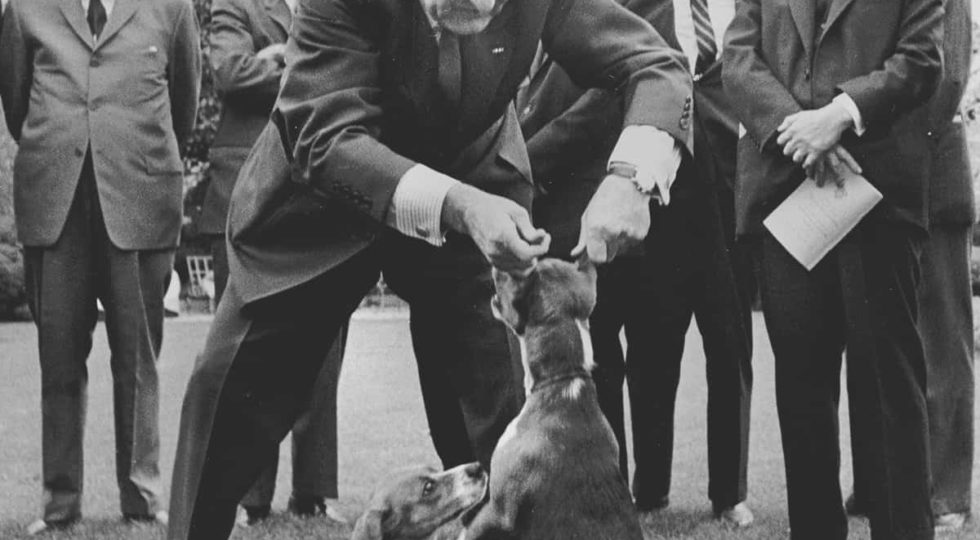 FILE – In this April 27, 1964, file photo President Lyndon B. Johnson holds his dog “Her” by the ears as White House visitors look on the White House lawn, Washington. At left is President Johnson’s other dog, “Him.” This picture raised criticism from dog lovers. (AP Photo/Charles P. Gorry, File)